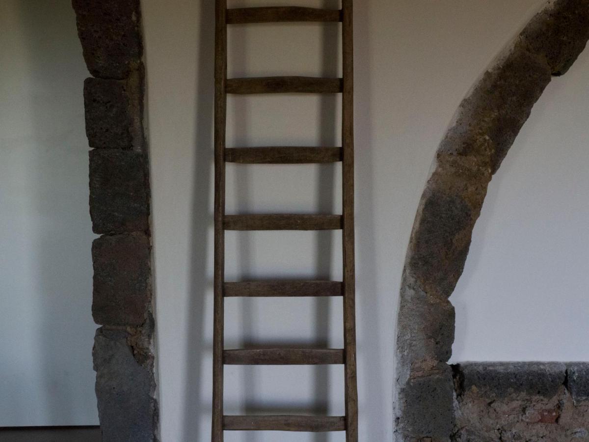 Il Palmento Di Beppe Apartment ซานตา เต-กลา ภายนอก รูปภาพ